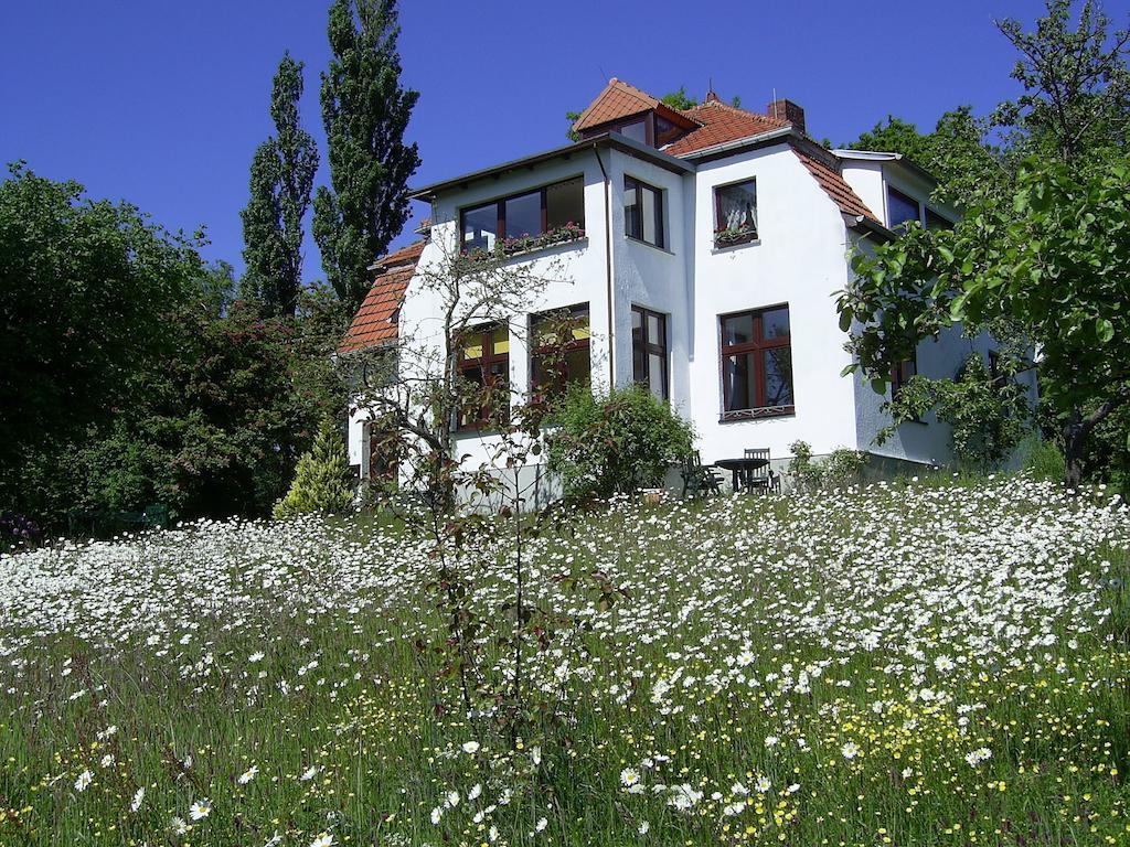 Ferienwohnungen Meerblick Herde Goehren  Zimmer foto